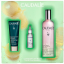 CAUDALIE AGUA DE BELLEZA 100 ML (DISPONIBLE PACK HASTA AGOTAR EXISTENCIAS)